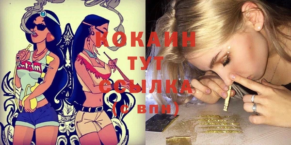 кокс Бородино