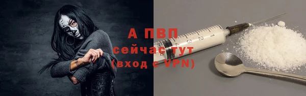 стаф Верея