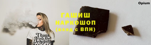 стаф Верея