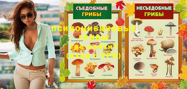 стаф Верея