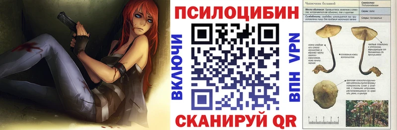продажа наркотиков  Кизилюрт  Галлюциногенные грибы ЛСД 